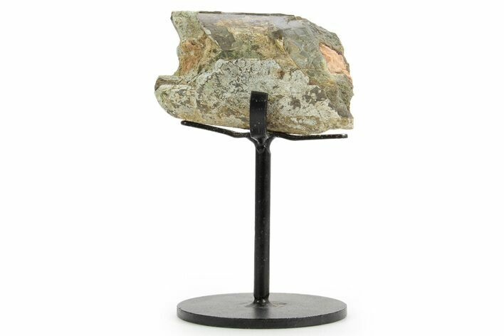 Fossil Theropod Metacarpal Section w/ Metal Stand - Colorado #363552